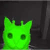 👽 alien cats 🐈‍⬛️ by чYча 18