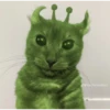 👽 alien cats 🐈‍⬛️ by чYча 20