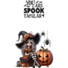 Trick or treat❥☯︎ͫ1🇲🇽Clásica 25
