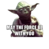 Yoda! 16