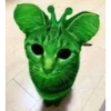 👽 alien cats 🐈‍⬛️ by чYча 21
