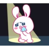 Cutie White Rabbit 14