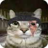 Jujitsu Catson 14