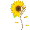 ☠️the death of the sunflower🌻 22