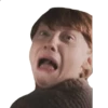 harry potter 23