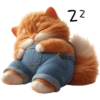 kucing oren 17