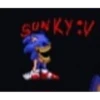 Sonic.OMT 24