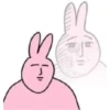Seonghwa pink bun 21