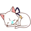 Gatitos💞15🇵🇪Clásica 25