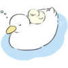 Cutie Duck 1 17