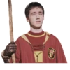 harry potter 26