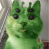 👽 alien cats 🐈‍⬛️ by чYча 25
