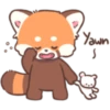 Mimi Red Panda 1 29