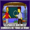 The Simpsons - Quotes 8 28