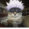 Jujitsu Catson 15