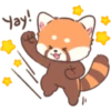 Mimi Red Panda 1 30