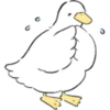 Cutie Duck 1 18