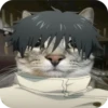 Jujitsu Catson 16