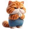kucing oren 24