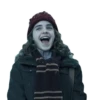 harry potter 29