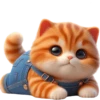 kucing oren 26