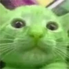 👽 alien cats 🐈‍⬛️ by чYча 28