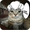 Jujitsu Catson 17