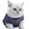 Meow 25