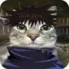Jujitsu Catson 18