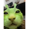 👽 alien cats 🐈‍⬛️ by чYча 30