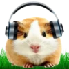 Hamsters Soldados💞1🇵🇪Clásica 5