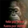 feliz por mister fuera por dentro