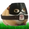 Hamsters Soldados💞1🇵🇪Clásica 7