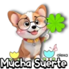 Lindo Tui Nui 🐶💖 8