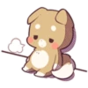 Pretty Puppy 9 5