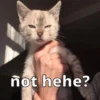 hehe 6