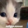 hehe 7