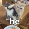 hehe 8