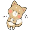 Pretty Puppy 3 6