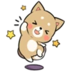 Pretty Puppy 3 7