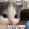 hehe 9
