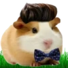 Hamsters Soldados💞1🇵🇪Clásica 9