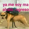 ya me voy ma alrato regreso