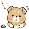Pretty Puppy 3 8