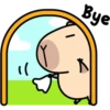Pipi Capybara #1 7