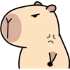 Pipi Capybara #1 8