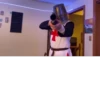 ave maria deus vult 9
