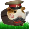 Hamsters Soldados💞1🇵🇪Clásica 10