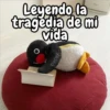 Pingu 🐧🐧 12