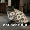 hehe 11